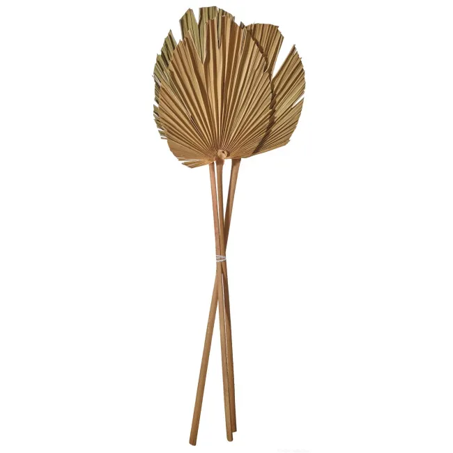 Komplet 3 liści palmy 60-70cm