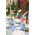 Gio Platinum Breakfast Plate 23cm - 5