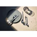 Silk Cutlery Set 60 pieces (for 12 people) - 8
