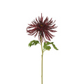 Chrysanthemum 60cm Burgundy - 1