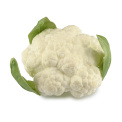 Cauliflower Ornament 14cm - 1