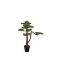 Drzewko Bonsai 95cm - 1