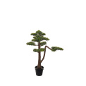 Drzewko Bonsai 95cm - 1