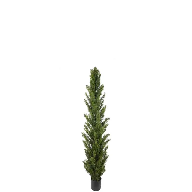 Drzewko Cyprys 77cm - 1
