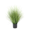 Grass 60x11cm - 1