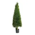 Thuja Tree 140cm - 1