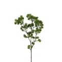 Gałązka Modrzew 40cm - 1