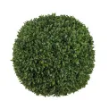 Boxwood Ball 60cm - 1