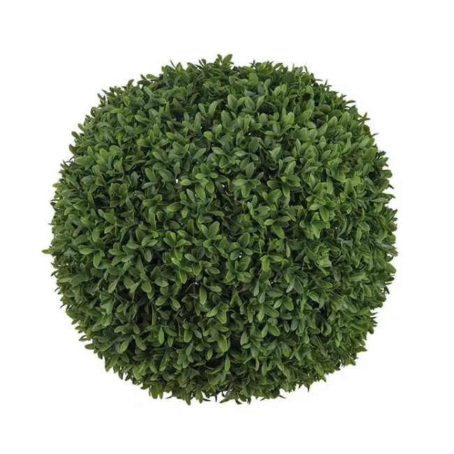 Kula Bukszpan 60cm
