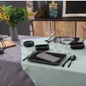 Linen Napkin 50x50cm Souris - 2