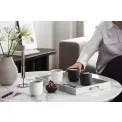 Set of 2 Collier Mugs 290ml - 5