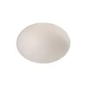 Lampa ogrodowa Apollo 40x30cm 40W E27 White Max - 1