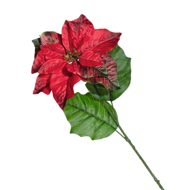 Kwiat Poinsecja 70cm czerwony