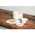 Star Plate 22cm Breakfast - 3