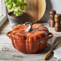 Special Cocotte Cast Iron Pot 3.45L 24cm Pumpkin Cinnamon - 2