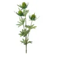 Oset gałązka 60cm - 1
