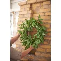 Eucalyptus Wreath 50cm - 2
