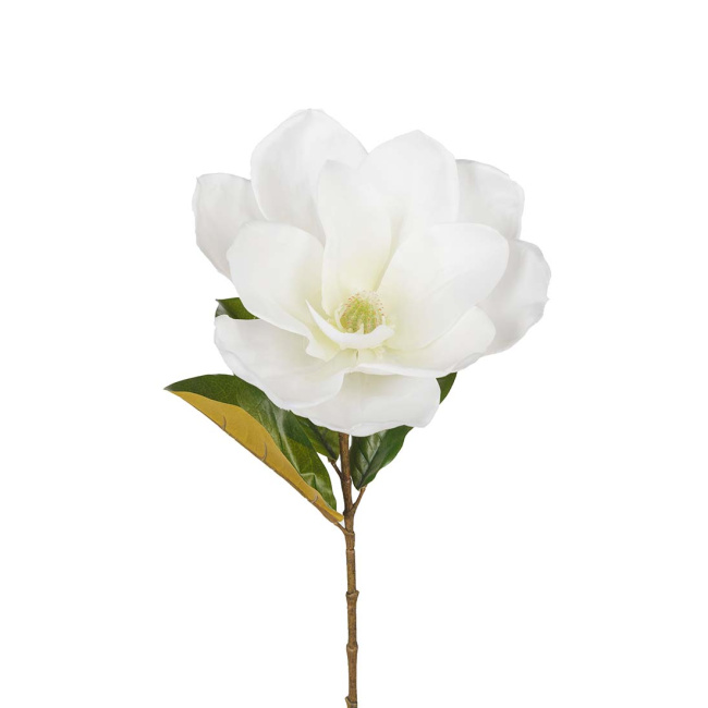 Magnolia gałązka 70cm biała