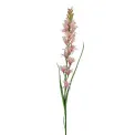 Tuberosa Branch 90cm Pink - 1