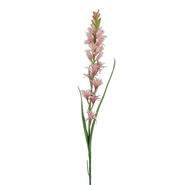 Tuberosa gałązka 90cm różowa
