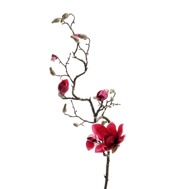 Magnolia gałązka 135cm czerwona