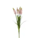 Szafirek drobnokwiatowy gałązka 30cm - 1