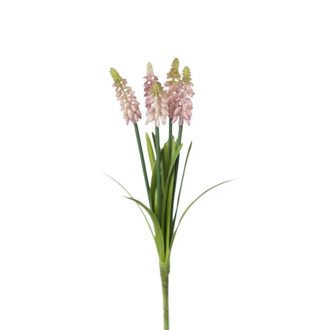 Szafirek drobnokwiatowy gałązka 30cm - 1