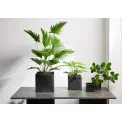 Quadro Cover 12cm Iron Black - 2
