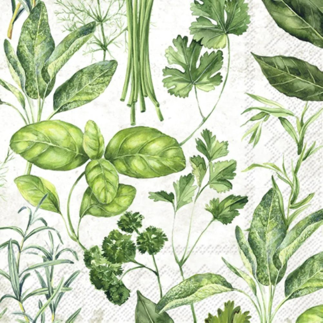 Napkins 33x33cm Variety Herbs (Set of 20)