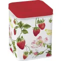 Can 10x7.5cm Strawberry - 1