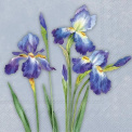 Napkins 33x33cm Insa Blue (Set of 20) - 1