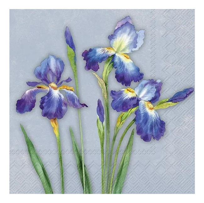 Napkins 33x33cm Insa Blue (Set of 20)