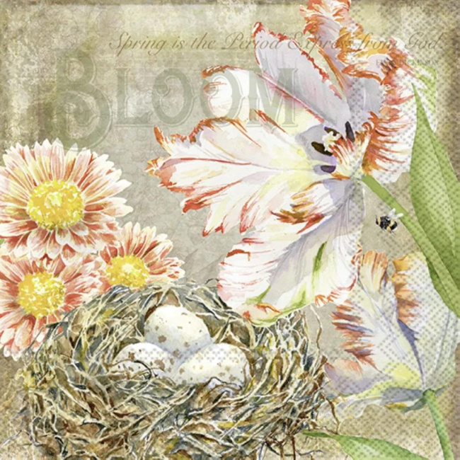 Napkins 33x33cm Augusta (Set of 20)