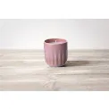Pearl Candle 300ml Sunkissed - 2