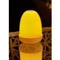 Cactus LED Lantern 15x11cm - 2
