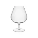 Universal Glass 530ml for Brandy - 1
