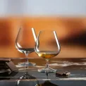 Universal Glass 530ml for Brandy - 3