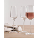 Glass Moments 450ml for Red Wine - 3