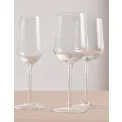 Glass Moments 450ml for Red Wine - 3