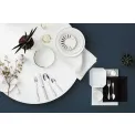 Premiere Cutlery Set 66 pieces (for 12 people) - 11