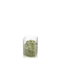 Glass Pantry Container 900 ml - 5