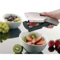 Japanese Tari Slicer - 5