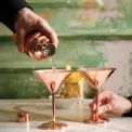 Set of 2 Martini Glasses - Copper - 8