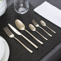 Rock PVD 60-Piece (12 Persons) Antique Champagne Cutlery Set - 3