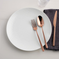 Rock PVD 60-Piece (12 Persons) Copper Cutlery Set - 3
