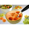 Large Boceli Cutter - 2