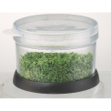 Tritare Herb and Vegetable Chopper - 3