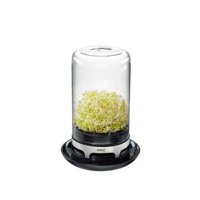 Bivita sprouting jar