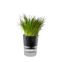 Doniczka Botanico na zioła - 2