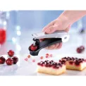 Dropio drylownica for cherries - 3